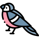 pájaro icon