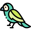 pájaro icon