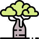 baobab icon