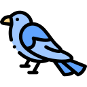 pájaro icon