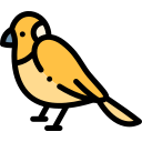 pájaro icon