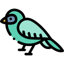 pájaro icon