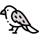 pájaro icon