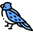 pájaro icon