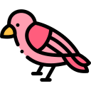 pájaro icon