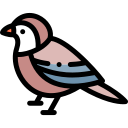 pájaro icon