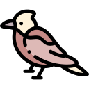 pájaro carpintero icon