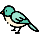 pájaro icon