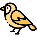 pájaro icon