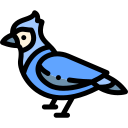 pájaro icon