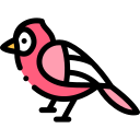 pájaro icon