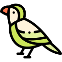 pájaro icon