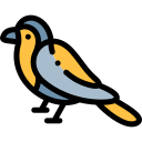 pájaro icon