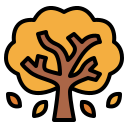 arbol de otoño icon