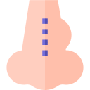 rinoplastia