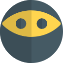 ninja icon