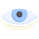 ojo icon