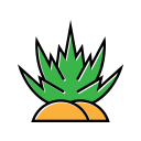 aloe vera icon