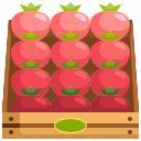 tomate icon