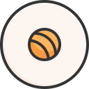 sushi icon