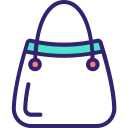 bolso icon