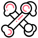 뼈 