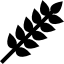trigo 
