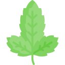 albahaca icon