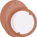 coco icon