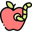 manzana 