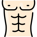 abdominales