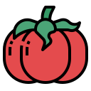 tomate icon