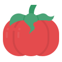 tomate icon