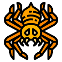 araña icon