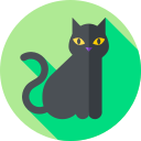 927,317 Black Cat Icons - Free in SVG, PNG, ICO - IconScout