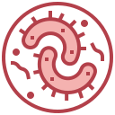 bacterias icon