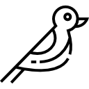 pájaro icon