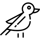 pájaro icon