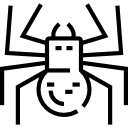 araña icon