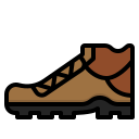 zapato icon