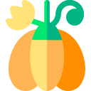 calabaza icon