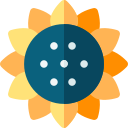 girasol icon