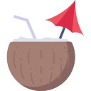 bebida de coco icon