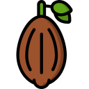 grano de cacao