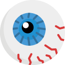 globo ocular icon