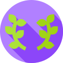 aceituna icon