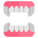 dentadura icon