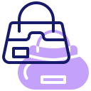 bolso icon