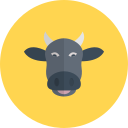 Vaca 