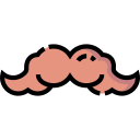 bigote icon